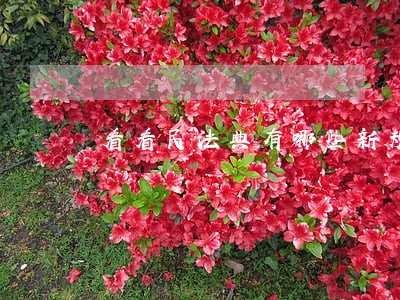 看看民法典有哪些新规 看看民法典有哪些新规