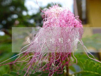 看看法院判决书 看看法院判决书