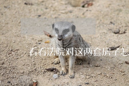 看看法院对这两套房子怎么判 看看法院对这两套房子怎么判
