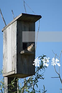 看贷款卡逾期没在哪查 看贷款卡逾期没在哪查