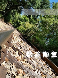 看逾期金额次数时间 看逾期金额次数时间