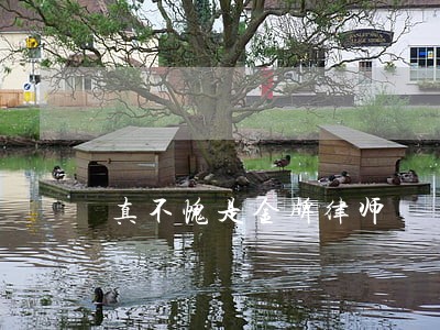 真不愧是金牌律师 真不愧是金牌律师
