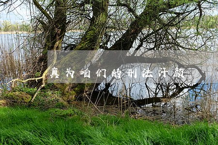 真为咱们的刑法汗颜 真为咱们的刑法汗颜