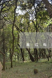 真信有逾期去哪里消除 真信有逾期去哪里消除