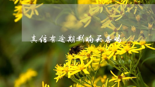 真信有逾期影响买房吗 真信有逾期影响买房吗