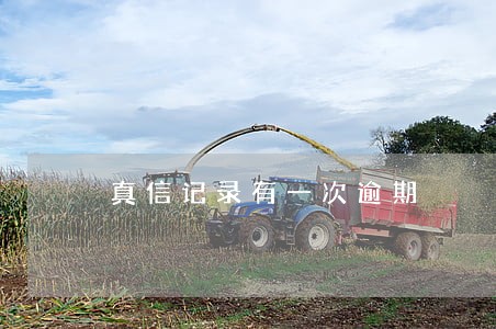真信记录有一次逾期 真信记录有一次逾期