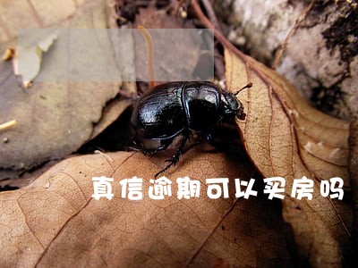 真信逾期可以买房吗 真信逾期可以买房吗