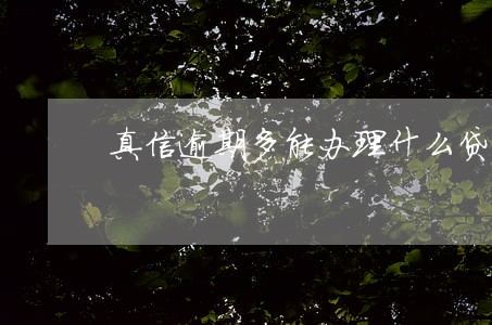 真信逾期多能办理什么贷款 真信逾期多能办理什么贷款