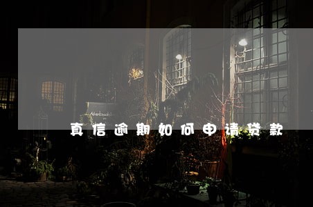 真信逾期如何申请贷款 真信逾期如何申请贷款