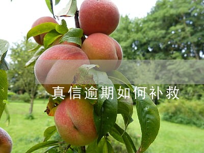 真信逾期如何补救 真信逾期如何补救
