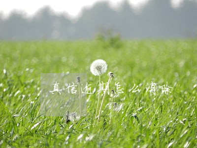 真信逾期怎么消除