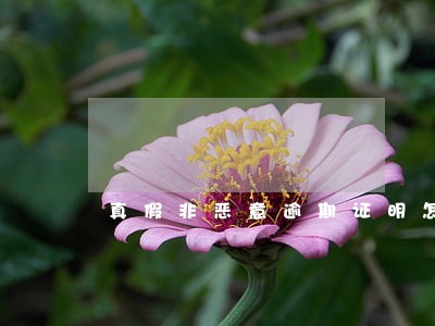 真假非恶意逾期证明怎么开