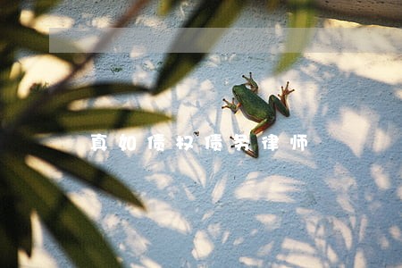 真如债权债务律师 真如债权债务律师