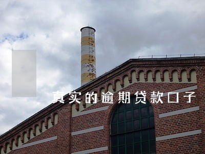 真实的逾期贷款口子