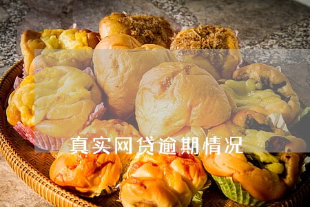 真实网贷逾期情况 真实网贷逾期情况