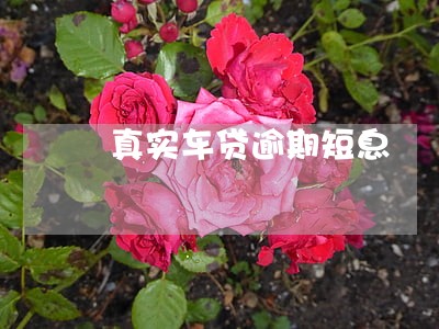 真实车贷逾期短息