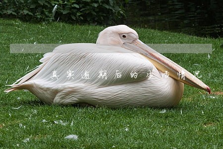 真实逾期后的生活情况 真实逾期后的生活情况