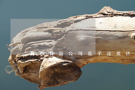 真心食品公司瓜子兑奖还要法院判 真心食品公司瓜子兑奖还要法院判