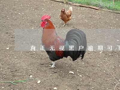 真正无视黑户逾期可下款的 真正无视黑户逾期可下款的