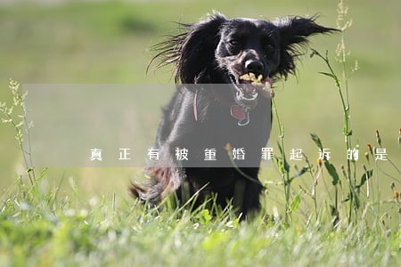 真正有被重婚罪起诉的是什么样 真正有被重婚罪起诉的是什么样