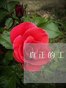 真正的工程逾期通告函图片 真正的工程逾期通告函图片