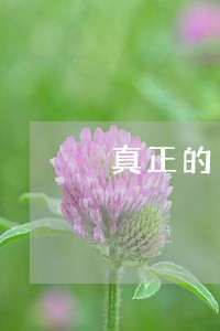 真正的自由是脱离一大堆律法 真正的自由是脱离一大堆律法