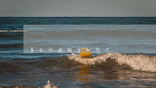真正的逾期告知图片