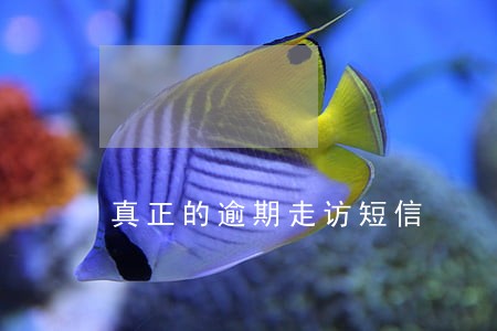 真正的逾期走访短信