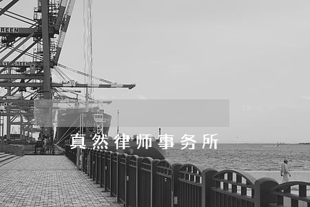 真然律师事务所 真然律师事务所