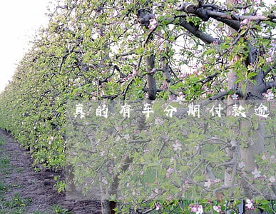真的有车分期付款逾期会被锁定吗