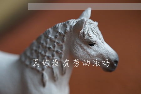 真的没有劳动法吗 真的没有劳动法吗
