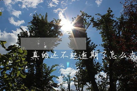 真的还不起逾期了怎么办 真的还不起逾期了怎么办