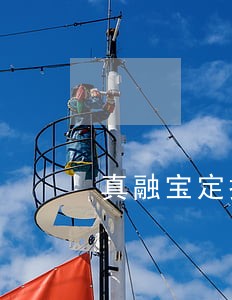 真融宝定投逾期不回款 真融宝定投逾期不回款