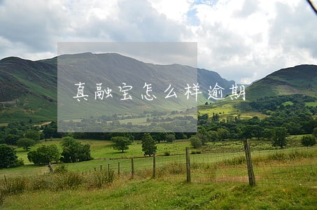 真融宝怎么样逾期 真融宝怎么样逾期