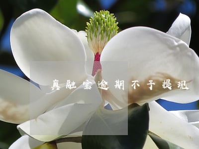 真融宝逾期不予提现 真融宝逾期不予提现