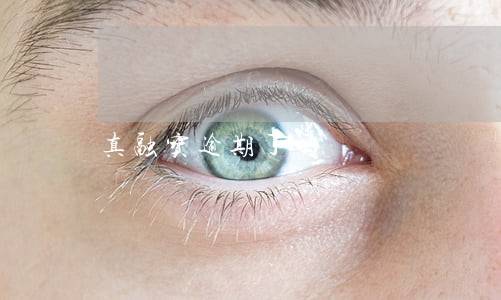 真融宝逾期了吗