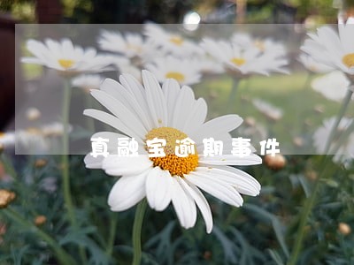 真融宝逾期事件 真融宝逾期事件
