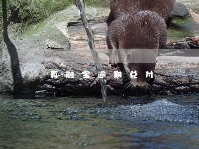 真融宝逾期兑付 真融宝逾期兑付