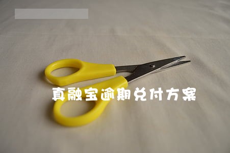 真融宝逾期兑付方案 真融宝逾期兑付方案