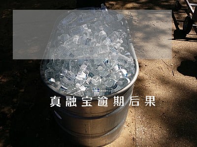 真融宝逾期后果 真融宝逾期后果