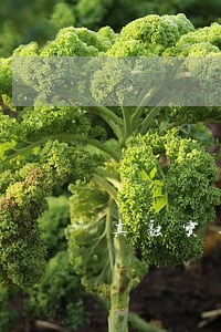 真融宝逾期处理7月13日 真融宝逾期处理7月13日