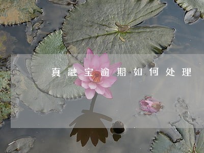 真融宝逾期如何处理 真融宝逾期如何处理