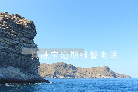 真融宝逾期报警电话 真融宝逾期报警电话