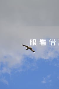 眼看借款全部都要逾期了