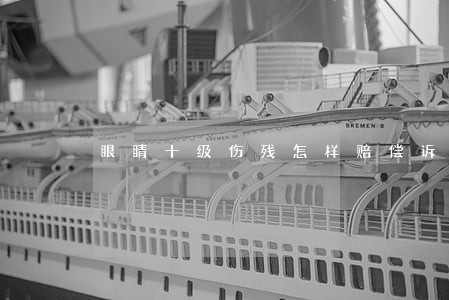 眼睛十级伤残怎样赔偿诉讼