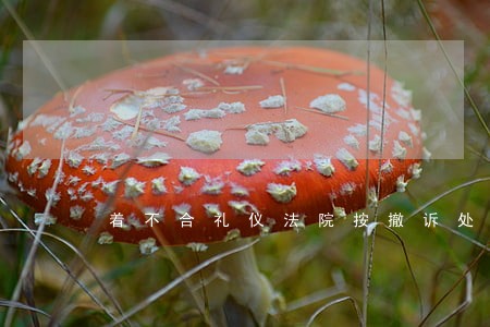 着不合礼仪法院按撤诉处理 着不合礼仪法院按撤诉处理