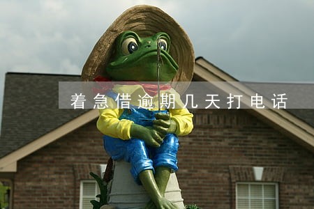 着急借逾期几天打电话 着急借逾期几天打电话