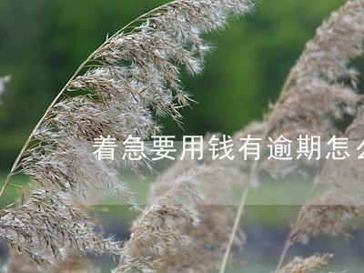 着急要用钱有逾期怎么办 着急要用钱有逾期怎么办