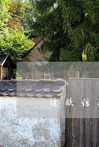 睡眠信用卡逾期怎么办