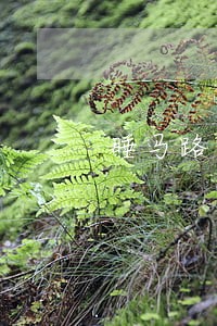 睡马路违法吗
